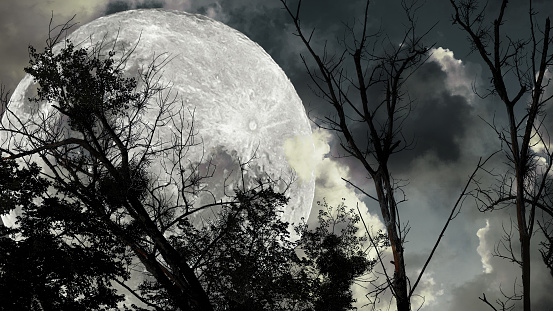 Silhouetted trees against a full moon, shrouded in a mystical sky with ominous cloudsa haunting Halloween scene that evokes an eerie, otherworldly ambiance