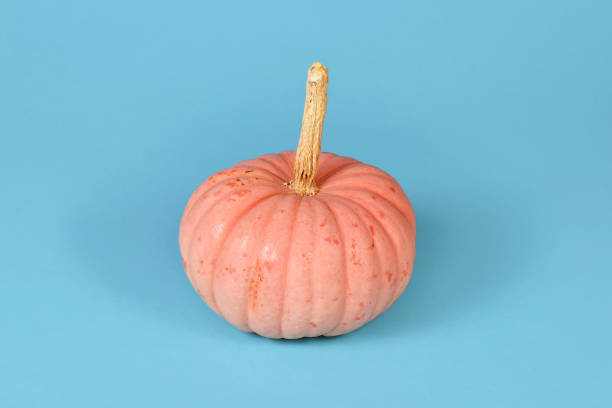 istock 'Miss Sophie Pink' Halloween pumpkin 1737368737