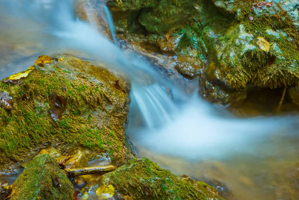 closeup small brook rushing in mountain canyon among a stones