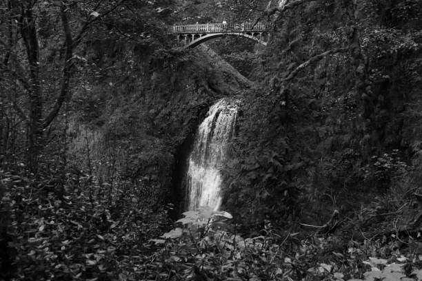 istock Lower falls with crossing bridge above at Multnomah Falls black and white 1737400503