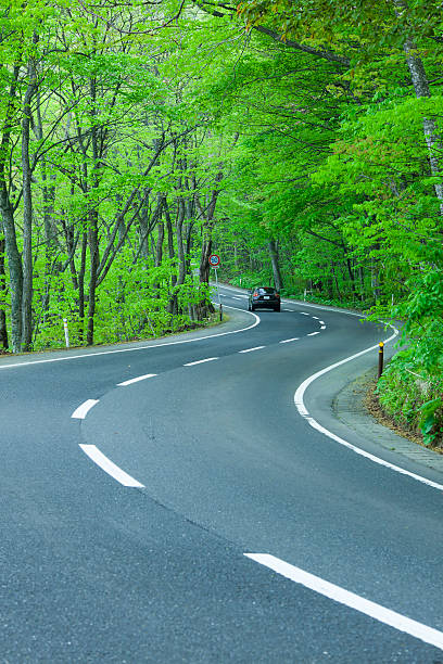 istock Driving a winding road in the forest 173740446