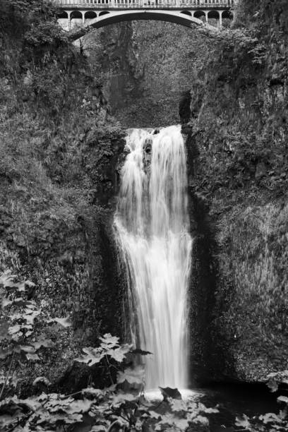 istock Lower falls with crossing bridge above at Multnomah Falls black and white 1737411451