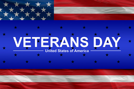 Veterans Day is an American holiday celebrated every year on 11th of November in honor of all the Soldiers in the war.