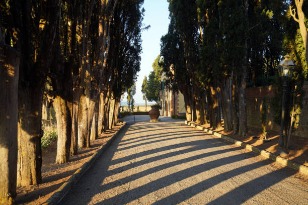 Tuscan landscapes - Tuscany - Italy