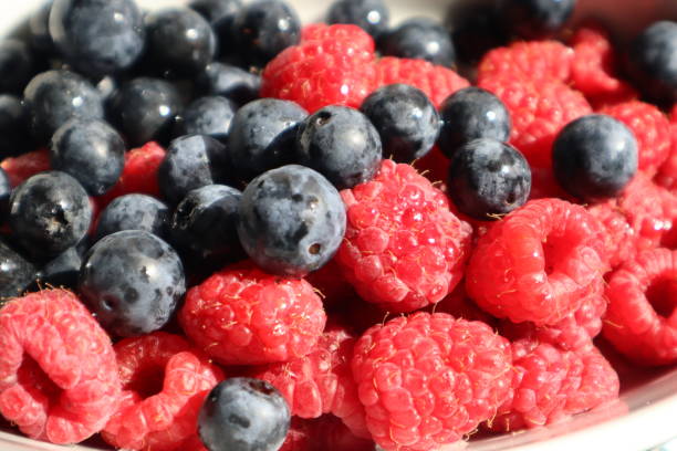 istock white plate with raspberries and blueberries on a white background 1737432919