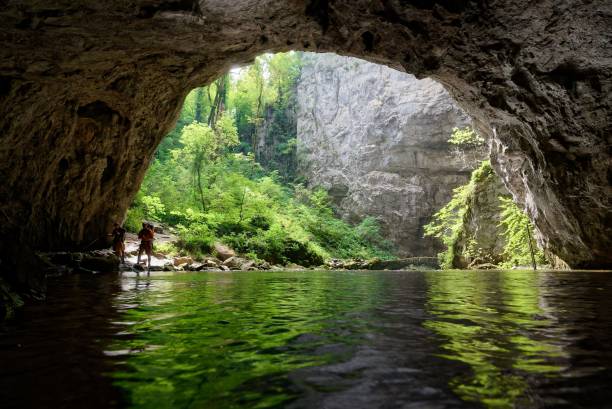 洞窟の中からの斜めの眺め、緑の木々の緑豊かな森の景色を眺める - people traveling journey group of people hiking ストックフォトと画像