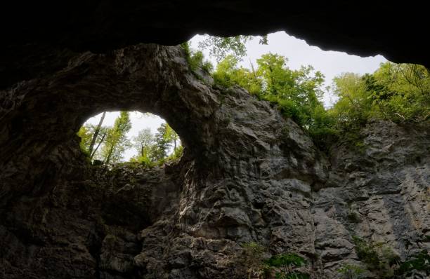 istock Angled view from inside a cave, looking out towards a lush forest scape of green trees 1737437421