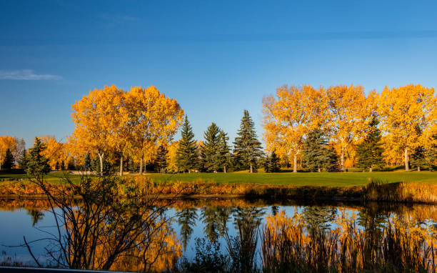 istock Fall colours on the edge of town. Calgary, Alberta, Canada 1737453120