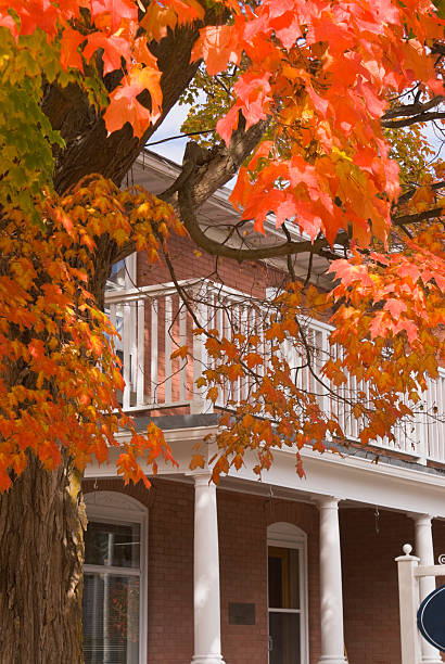 istock Autumn leaves in front of an old home 173747823