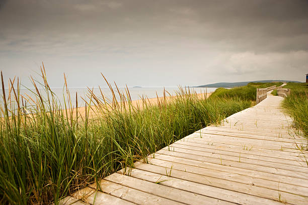 ビーチの散歩道 - canadian beach ストックフォトと画像