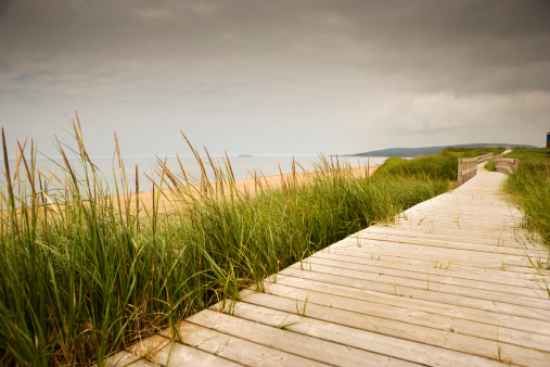 A wooden pathway leading down to a sandy beach