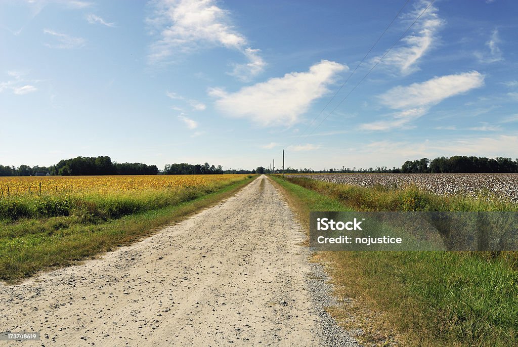 Seco Farm Road - Foto de stock de Agricultura royalty-free