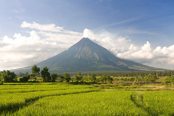 Perfect volcano "The Mayon Volcano in the Philippines, widely regarded as the most perfectly cone-shaped volcano, and surrounded by rice fields. Location is the province of Albay, region of Bicol, island of Luzon, Philippines." philippines landscape stock pictures, royalty-free photos & images