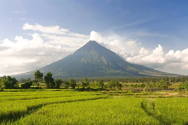 "The Mayon Volcano in the Philippines, widely regarded as the most perfectly cone-shaped volcano, and surrounded by rice fields. Location is the province of Albay, region of Bicol, island of Luzon, Philippines."