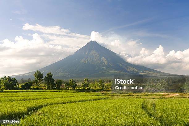 Doskonałe Volcano - zdjęcia stockowe i więcej obrazów Filipiny - Filipiny, Góra Mayon, Wulkan