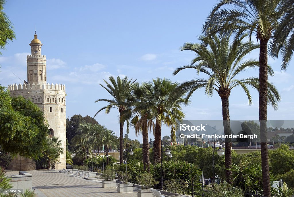 Torre del złota - Zbiór zdjęć royalty-free (Andaluzja)