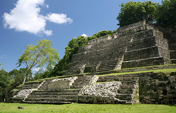 Cтоковое фото Старый mayan pyramid in Lamanai Белиз