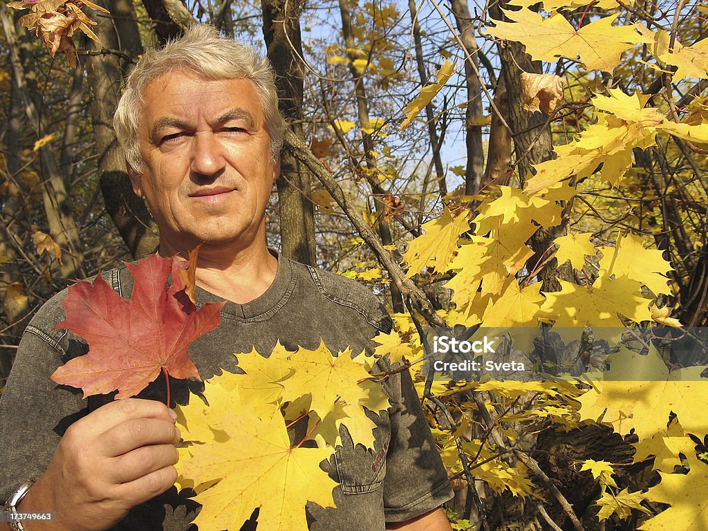 Красота Осень - Стоковые фото Пожилой возраст роялти-фри