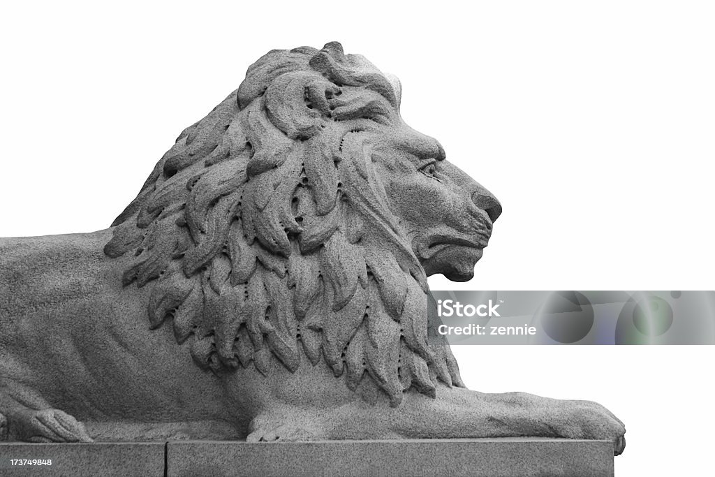 Granito leão em fundo branco - Foto de stock de Autoridade royalty-free