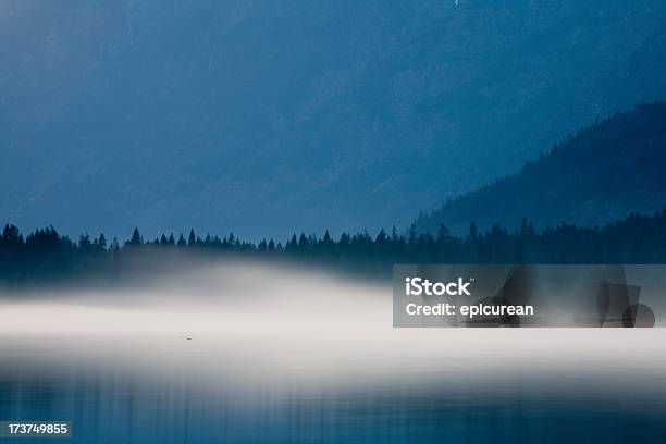 Misty Lago - Fotografias de stock e mais imagens de Ao Ar Livre - Ao Ar Livre, Beleza natural, Cena de tranquilidade