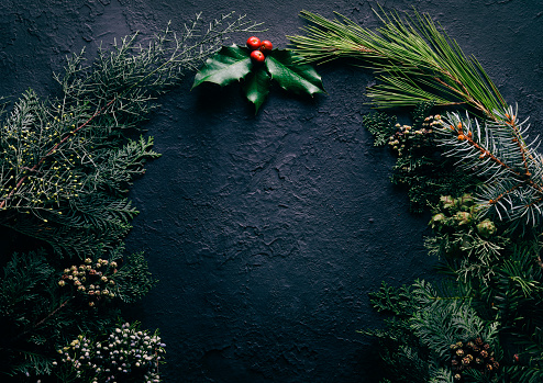 Dark and rustic christmas background with pine tree branches and holly