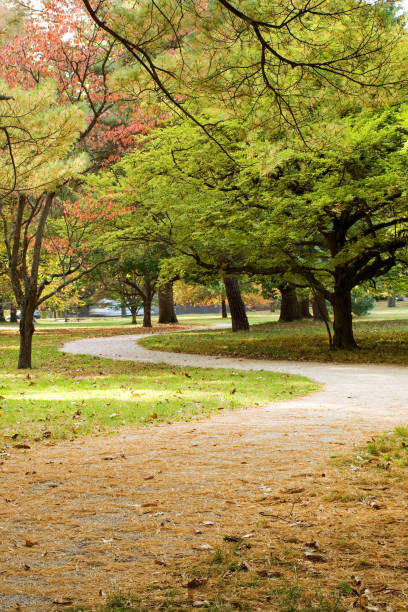 istock S-shaped footpath in autumn park 173750552