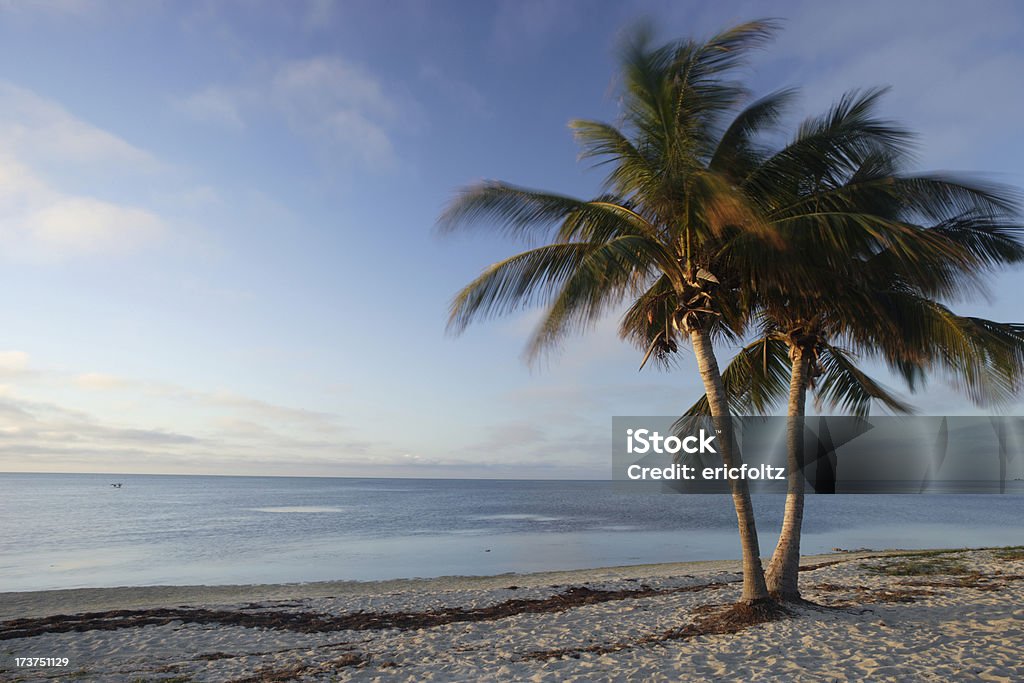 Playa de los veteranos - Foto de stock de Agua libre de derechos