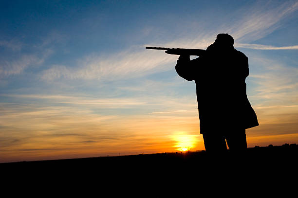 istock A hunter with gun silhouetted against a sunset 173751266