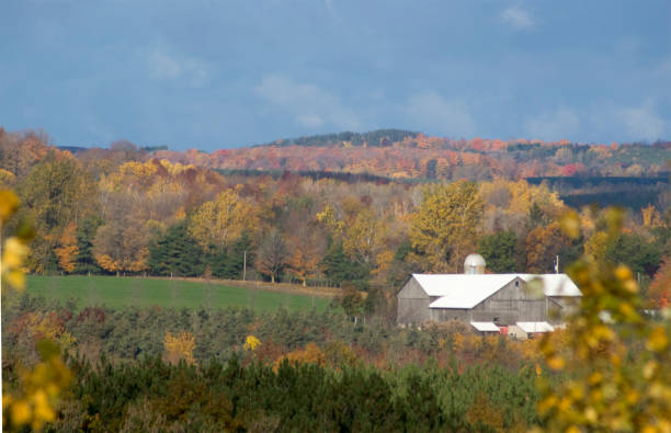 istock Farm across Sheldon Valley 173751790