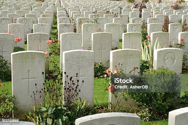 Graves 알 수 없는 병마용 플랑드르 World War I에 대한 스톡 사진 및 기타 이미지 - World War I, 묘지, British Empire