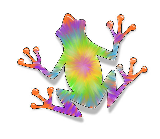 Tie Dyed Frog stock photo