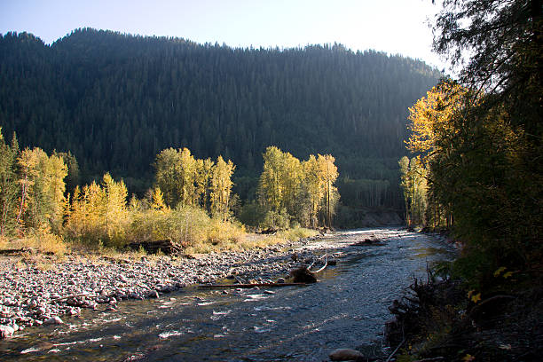 istock Autumn arrives on Stillaguamish River 173752038
