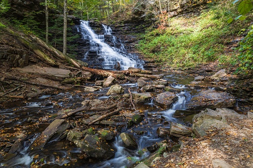 Rocks and branches at the base of F.L. Ricketts Falls in Ricketts Glen State Park