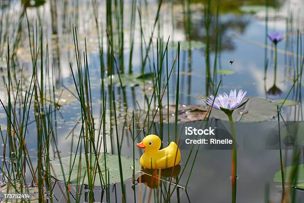 Perdido - Fotografias de stock e mais imagens de Amarelo - Amarelo, Artificial, Borracha - Material