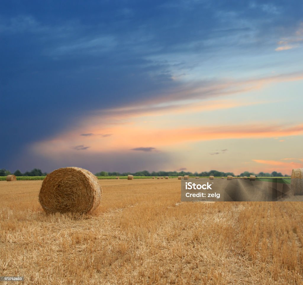 Erntezeit - Lizenzfrei Dramatischer Himmel Stock-Foto