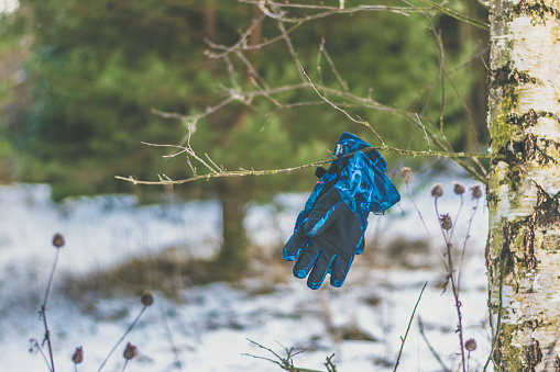 gloves for skiing in the forest, symbol of sport