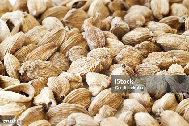 Foto de Cardamomo e mais fotos de stock de Cardamomo - Cardamomo, Comida e bebida, Condimento - Temperos