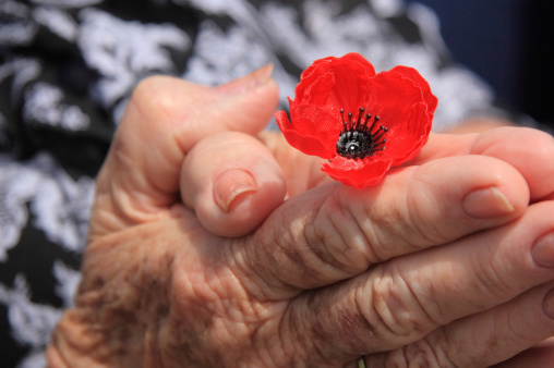 An old lady's hands are clasped together in a prayer form with a single red poppy to symbolise hope and remembrance.