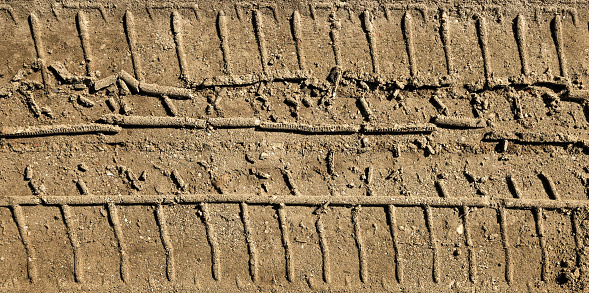 Vehicle Tracks In The Mud