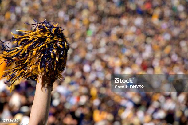 Jubeln Zuschauer Stockfoto und mehr Bilder von Pompon - Pompon, Amerikanischer Football, Fokus auf den Vordergrund