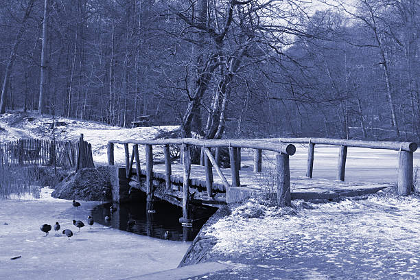 istock Blue winter scene with bridge in the forest 173754193