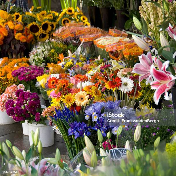Kwiat W Stanie Ustabilizowania - zdjęcia stockowe i więcej obrazów Bukieciarstwo - Bukieciarstwo, Bukiet, Egzotyczny kwiat