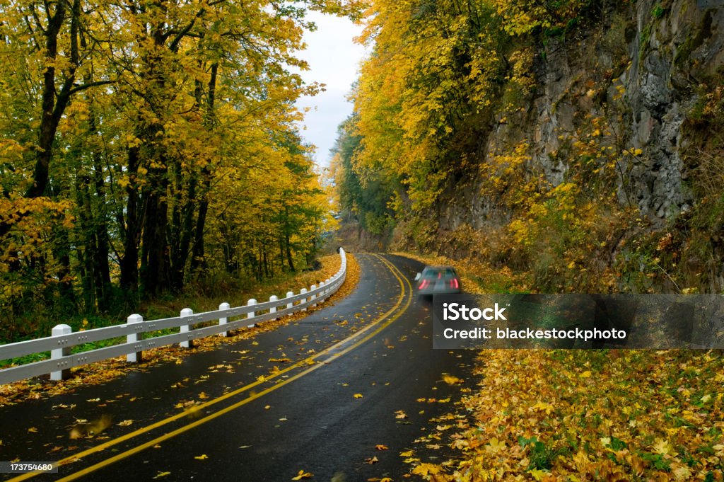 Auto auf der Straße mit Blättern im Herbst - Lizenzfrei Baum Stock-Foto