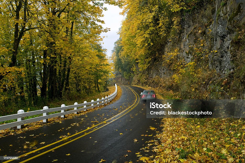 Viaje en automóvil de la hoja de cubierta en otoño carretera - Foto de stock de Aire libre libre de derechos