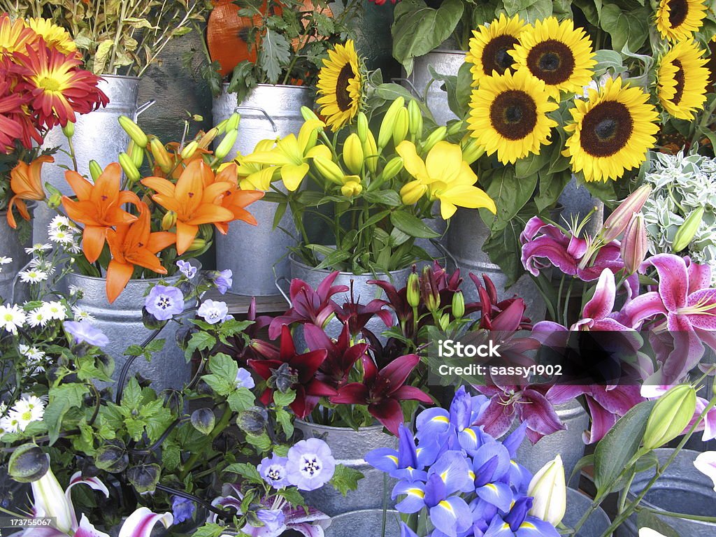 Affichage de tournesol fleuriste fleurs de lis - Photo de Arbre en fleurs libre de droits