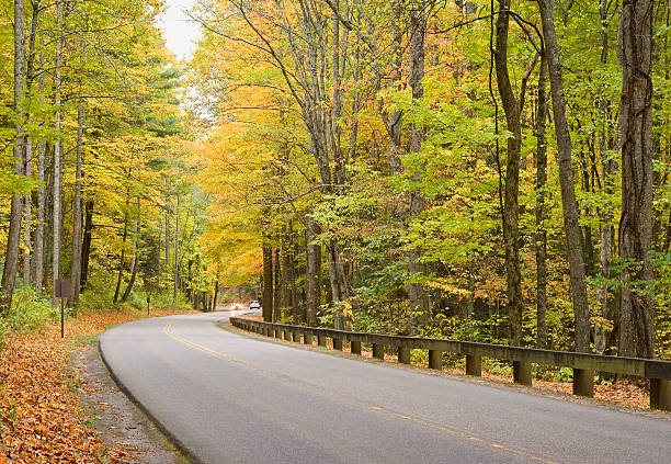 "smoky góra jesień drogi serii" - gatlinburg road winding road tennessee zdjęcia i obrazy z banku zdjęć