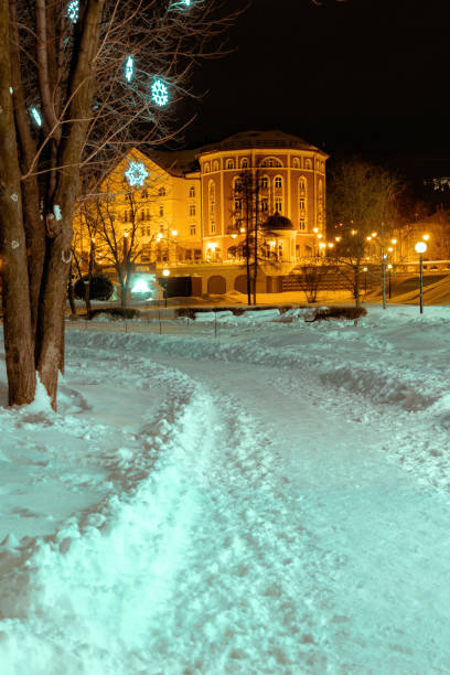 istock Winter night decoration street view 1737551973