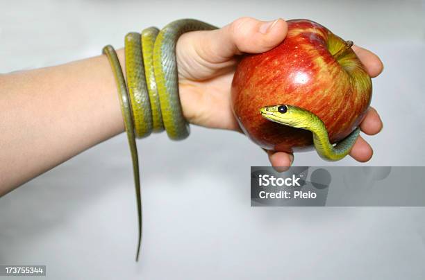 Zielone Jabłko I Ręka Wąż - zdjęcia stockowe i więcej obrazów Jabłko - Jabłko, Wąż, Błyszczący