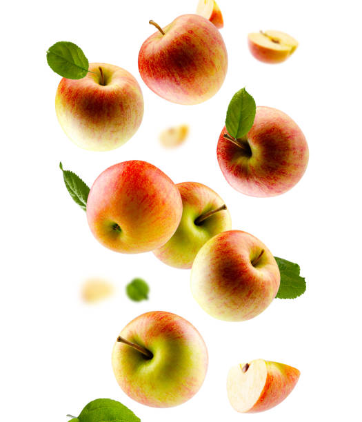 istock Excellently retouched multi colored apples with leaves whole halves and slices fall in space.  Surround light from behind. Isolated on white 1737553838