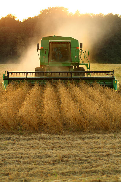 Farming in the sunset on such a beautiful evening
